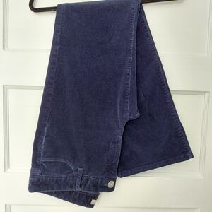 Banana Republic Navy Corduroy Trousers